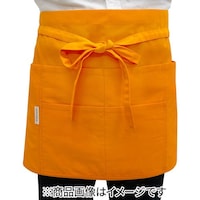 �s�d�`�f�k�d�r�@�P�O�Q�ȍ����O�|���G�v�����C�G���[