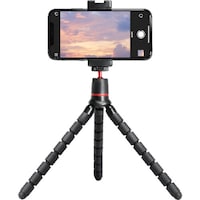 �������|�i�@�v���~�A�����˂��ˎO�r