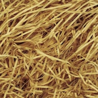 �T�T�K���@�p�b�L���@���p�b�L���@�S�O���@�V���`��