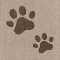 �T���R�[�@�z���������у}�b�g�@�����S�T�~�S�T�Z���`