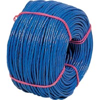 ���c��@�Ȑc���󃍁[�v�@�Q�O�O����