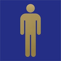 ���@�L�����G�[�^�[�@�X�e�����X�`�^���S�[���h�@�j��