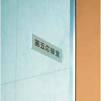 ���@�v���[�g���o�^�C�v�@�X�`�[�����n�@�V�X�~�Q�T�O