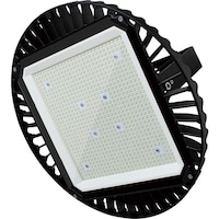 �G�R�[�f�B�A�@�k�d�c�����퍂�V�䓔