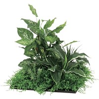 �m�`�h�j�h�@�X�N�G�A�O���[���i�S�T�O�p�j�@�k�n�s�^