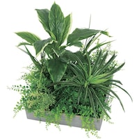 �m�`�h�j�h�@�X�N�G�A�O���[���i�R�O�O�p�j�@�k�n�s�^