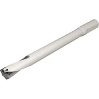 �C�X�J���@�X���E�J��