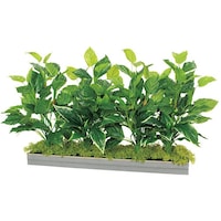 �m�`�h�j�h�@���C�h�O���[���i�g�U�T�O�j�@�l�b�e�^�@