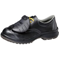 �~�h�����S�@�V��t�^�b�v���t���Ód���S�C�@�v���~�A