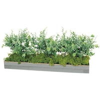 �m�`�h�j�h�@���C�h�O���[���i�g�R�T�O�j