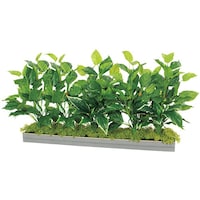 �m�`�h�j�h�@���C�h�O���[���i�g�U�T�O�j