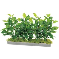 �m�`�h�j�h�@���C�h�O���[���i�g�U�T�O�j