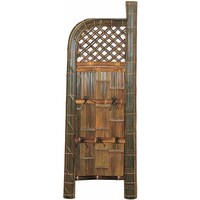 �^�J�V���[�@�a���@�뉀�p�i�@�Ջʑ��_�i�q�V�M�j�@�Q