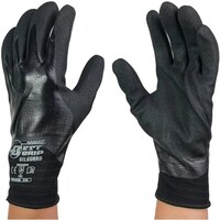 �v�h�m�b�d�r�r�@�j�g�����w������܁@�ϖ��@�t���R�[