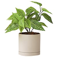 �m�`�h�j�h�@�l�H���؁i�[�u���u�b�V���j