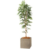 �m�`�h�j�h�@�l�H���؁i�g�l���R�j�@�`�f�U�R�P�r�o�l�f�k�@�P��