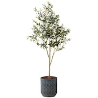 �m�`�h�j�h�@�l�H���؁i�I���[�u�j