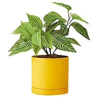 �m�`�h�j�h�@�l�H���؁i�[�u���u�b�V���j