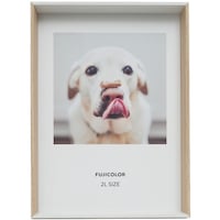 �t�W�J���[�@���[���t���[���@�q�n�n�l�e�q�d�`�l�S�W