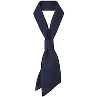 �T���y�b�N�X�@�����@�R�b�N�^�C�@�V�F�t�@�X�J�[�t�@