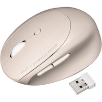 �r�`�m�v�`�@�É����C�����X�@�R���{�@���^�G���S�m�~