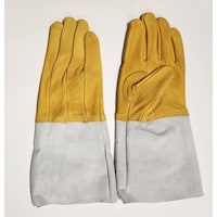 �m�s�@�R���r�ܖ{�w�n�ڎ��