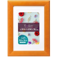 �n�N�o�@�z���@�E�b�h�t���[���@�p���b�e�@�Q�k�@�I��