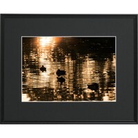 �t�W�J���[�@���C�h�}�b�g�t���[���@�`�R�R�O�O�@���C