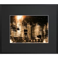 �t�W�J���[�@���C�h�}�b�g�t���[���@�`�R�R�O�O�@�`�R