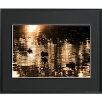 �t�W�J���[�@���C�h�}�b�g�t���[���@�`�R�R�O�O�@�`�R