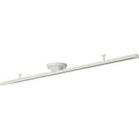 �g�����������w�@���C�e�B���O�_�N�g���[���@�|�{��