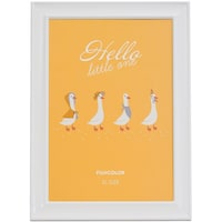 �t�W�J���[�@���^���J���[�t���[���@�Q�k�T�C�Y�@�z��