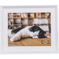 �i�J�o���V�@�ؐ��ʐ^�z�@�Z�c�؁^�z���C�g