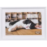 �i�J�o���V�@�ؐ��ʐ^�z�@�v�Z�c�؁^�z���C�g