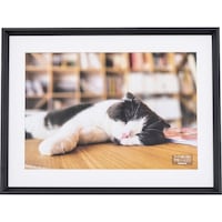 �i�J�o���V�@�ؐ��ʐ^�z�@�v�l�c�؁^�u���b�N