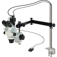 �g�n�y�`�m�@�O����̌������i���j�^�[�p�j