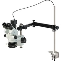 �g�n�y�`�m�@�O����̌������i�o�b�p�j