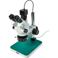 �g�n�y�`�m�@�O����̌������i�o�b�p�j