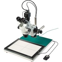 �g�n�y�`�m�@�O����̌������i���j�^�[�p�j