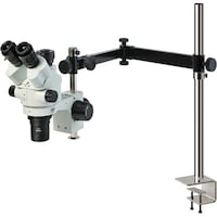 �g�n�y�`�m�@�O����̌�����