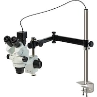 �g�n�y�`�m�@�O����̌������i�o�b�p�j