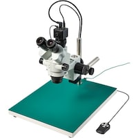 �g�n�y�`�m�@�O����̌������i���j�^�[�p�j