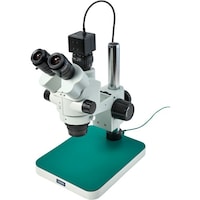 �g�n�y�`�m�@�O����̌������i�o�b�p�j