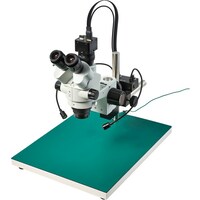 �g�n�y�`�m�@�O����̌������i���j�^�[�p�j