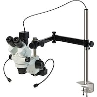 �g�n�y�`�m�@�O����̌������i�o�b�p�j