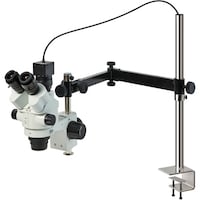 �g�n�y�`�m�@�O����̌������i�o�b�p�j