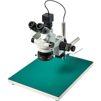 �g�n�y�`�m�@�O����̌������i�o�b�p�j