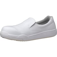 �~�h�����S�@���w�ی샏�C�h������c���蒴�ϊ���ƌC