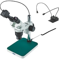 �g�n�y�`�m�@���̌�����