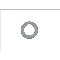 �^���K���C�@�V��